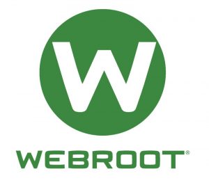 Webroot SecureAnywhere AntiVirus 2020 Key (1 Year / 1 Device)
